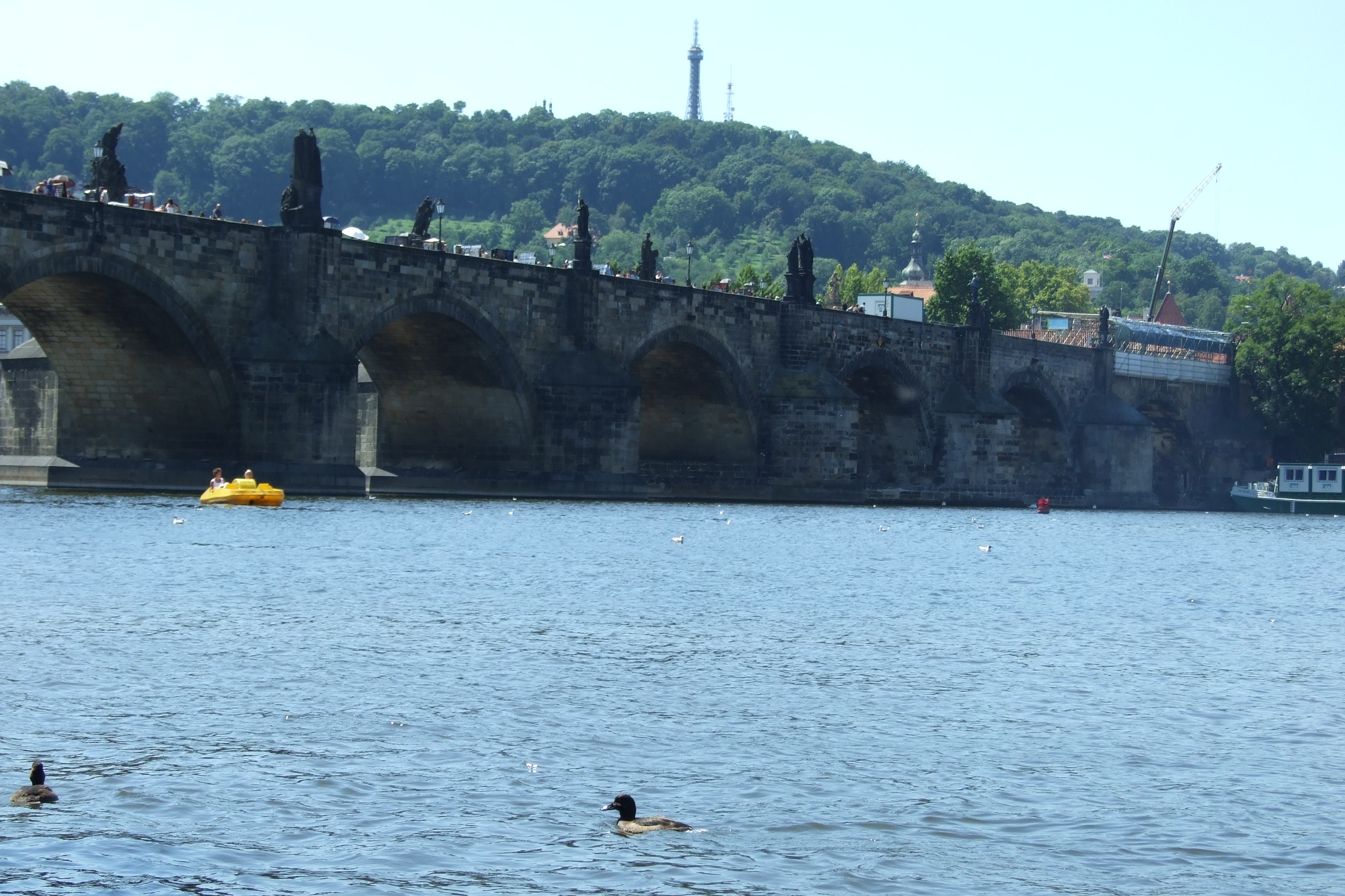 DSCF1926.JPG
